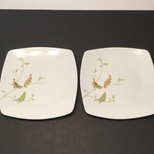 222 Fifth Chintz Birds x 2 Square Smooth Edge 10" Dinner Plate NEW Discontinued